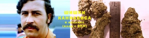дживик Беломорск