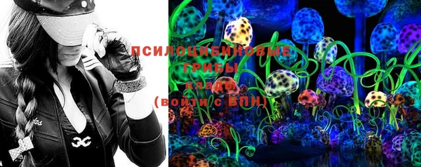 дживик Беломорск