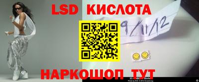 прущие грибы Новодвинск