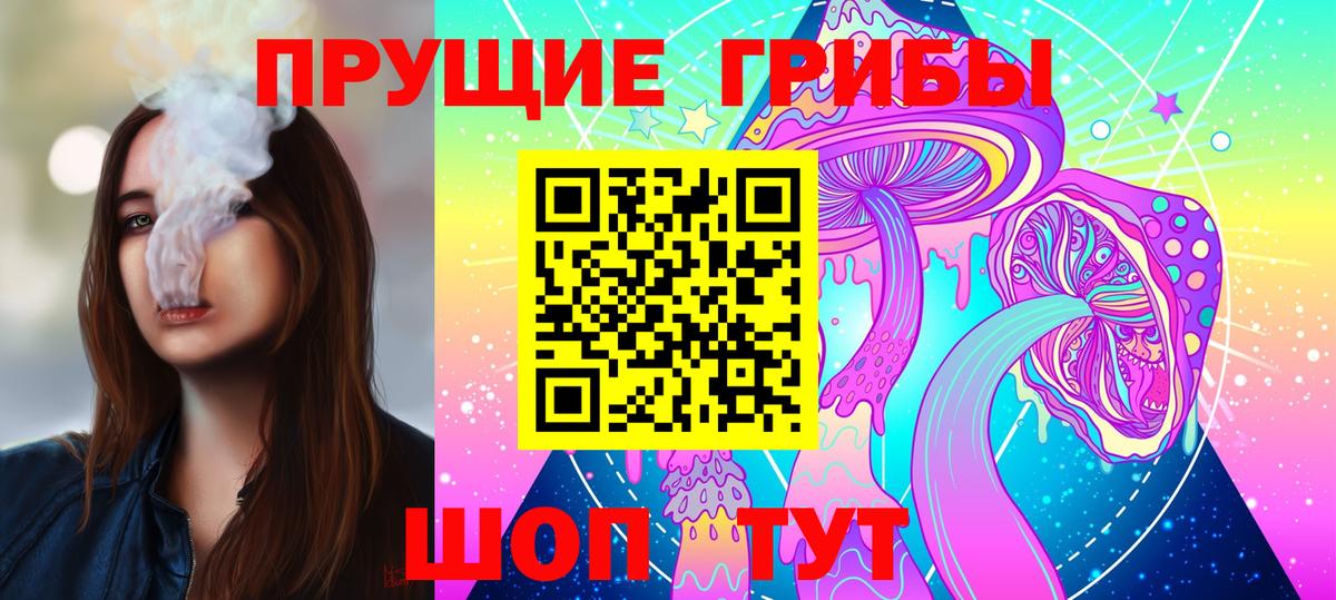 Псилоцибиновые грибы Psilocybe Среднеуральск